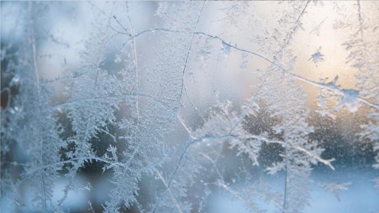 Ellerimiz ve Ayaklarımız Neden Daha Çok Üşür?